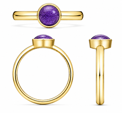 9ct Yellow Gold Ashes Round Memorial Ring