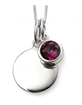 February Birthstone and Engravable Disc Necklace